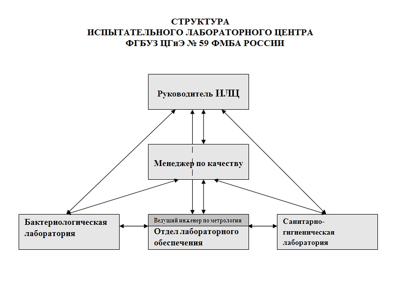 Структура-ИЛЦ 2024.jpg